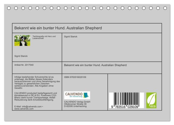 Produktbild: Bekannt wie ein bunter Hund. Australian Shepherd (Tischkalender 2026 DIN A5 quer), CALVENDO Monatskalender