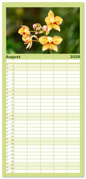 Produktbild: Familienplaner 2026 - Orchidaceae - Orchideen mit 5 Spalten (Wandkalender, 21 x 45 cm) CALVENDO