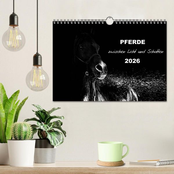 Produktbild: Pferde zwischen Licht und Schatten (Wandkalender 2026 DIN A4 quer), CALVENDO Monatskalender