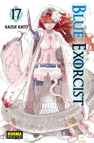 Produktbild: Blue Exorcist 17
