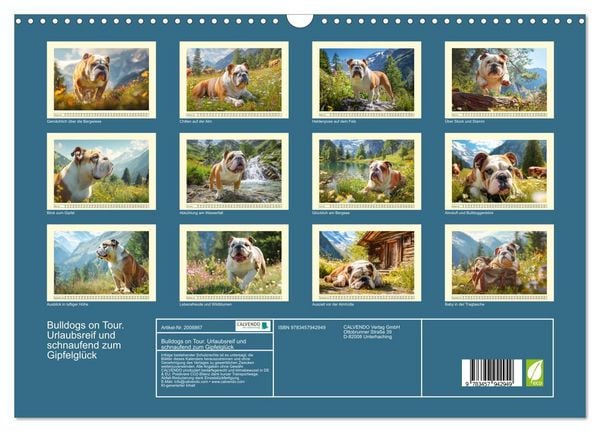 Produktbild: Bulldogs on Tour. Urlaubsreif und schnaufend zum Gipfelgl&uuml;ck (Wandkalender 2026 DIN A3 quer), CALVENDO Monatskalender