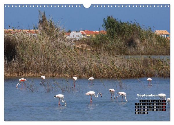 Produktbild: Costa Blanca - Sonne, Strand und mehr (Wandkalender 2026 DIN A3 quer), CALVENDO Monatskalender