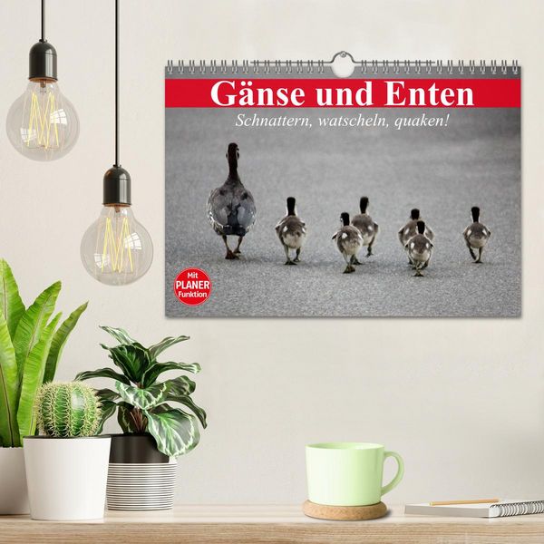 Produktbild: G&auml;nse und Enten. Schnattern, watscheln, quaken! (Wandkalender 2026 DIN A4 quer), CALVENDO Monatskalender