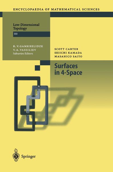 Produktbild: Surfaces in 4-Space