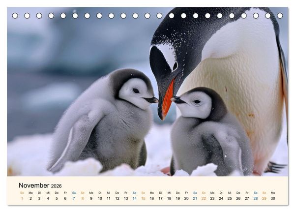 Produktbild: Tierkinder in Eis und Schnee (Tischkalender 2026 DIN A5 quer), CALVENDO Monatskalender