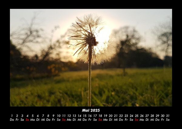 Produktbild: Landschaftskalender 2025 Fotokalender DIN A3