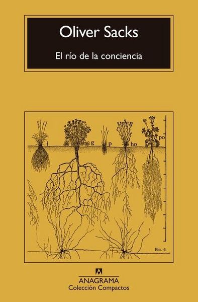 Produktbild: R&iacute;o de la Conciencia, El