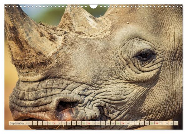Produktbild: Die Augen der Wildnis (Wandkalender 2027 DIN A3 quer), CALVENDO Monatskalender