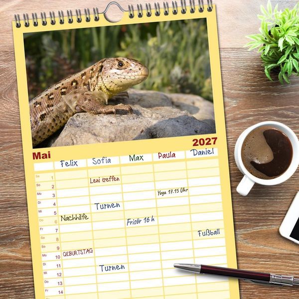 Produktbild: Familienplaner 2027 - Minisaurier im Garten mit 5 Spalten (Wandkalender, 21 x 45 cm) CALVENDO