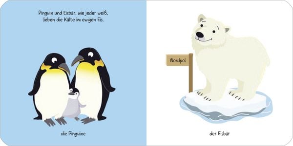 Produktbild: Kennst du das? Babys erstes Bildw&ouml;rterbuch. Jeden Tag ein neues Tier