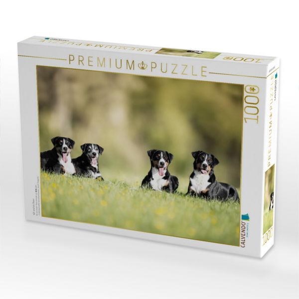 CALVENDO Puzzle 1000 Teile 'Halde Rheinpreußen Moers' | Premium-Foto-Puzzle 64x48 Cm