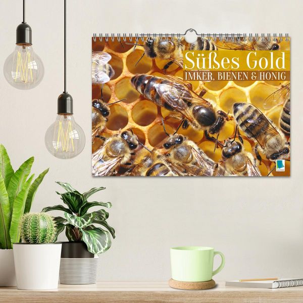 Produktbild: S&uuml;&szlig;es Gold: Imker, Bienen & Honig (Wandkalender 2026 DIN A4 quer), CALVENDO Monatskalender