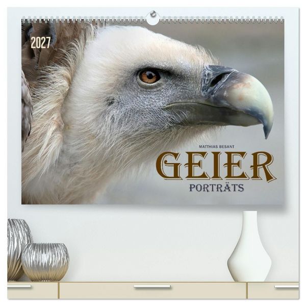 Produktbild: GEIERPORTR&Auml;TS (hochwertiger Premium Wandkalender 2027 DIN A2 quer), Kunstdruck in Hochglanz