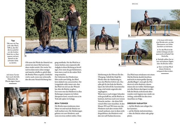 Produktbild: Working Equitation