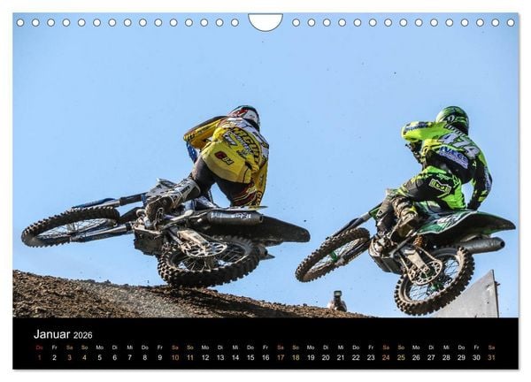 Produktbild: whip`s and scrub`s (Wandkalender 2026 DIN A4 quer), CALVENDO Monatskalender