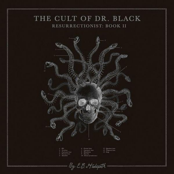 Produktbild: The Cult of Dr. Black