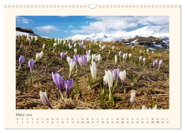 Produktbild: Alpen Blick (Wandkalender 2026 DIN A3 quer), CALVENDO Monatskalender