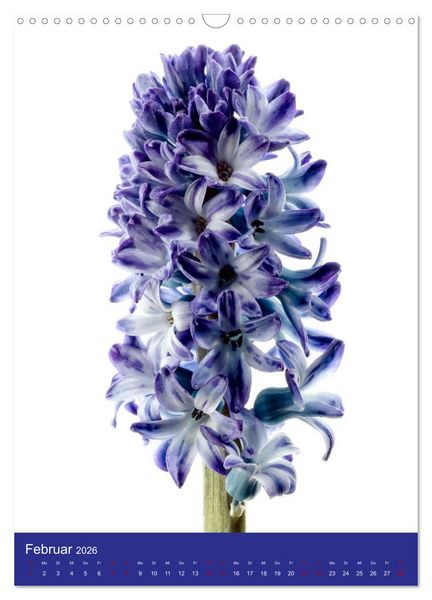 Produktbild: Nat&uuml;rlich Blumen. (Wandkalender 2026 DIN A3 hoch), CALVENDO Monatskalender