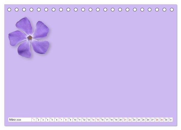Produktbild: DIY POESIE - BASTELKALENDER (Tischkalender 2026 DIN A5 quer), CALVENDO Monatskalender