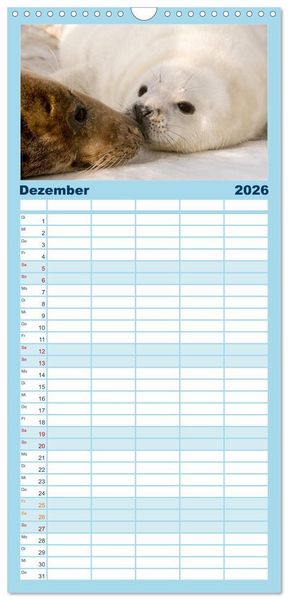 Produktbild: Familienplaner 2026 - Faszination Kegelrobben und Seehunde mit 5 Spalten (Wandkalender, 21 x 45 cm) CALVENDO