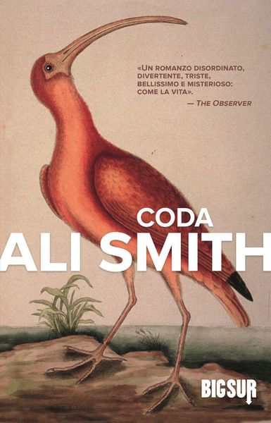 Produktbild: Coda