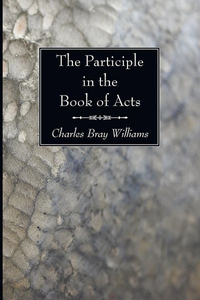 Produktbild: The Participle in the Book of Acts