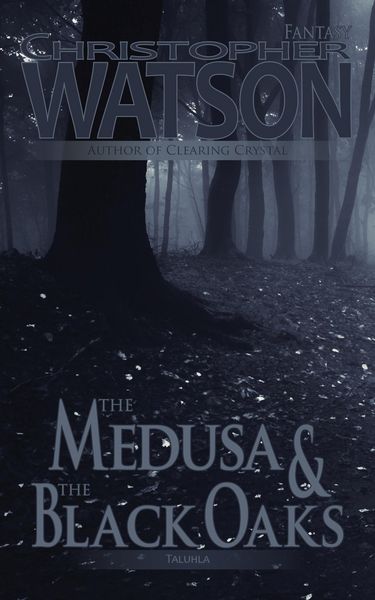 Produktbild: The Medusa & The Black Oaks