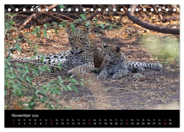 Produktbild: Naturerlebnis Botswana (Tischkalender 2026 DIN A5 quer), CALVENDO Monatskalender