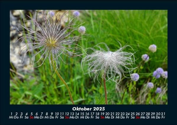 Produktbild: Bilder der Natur 2025 Fotokalender DIN A5