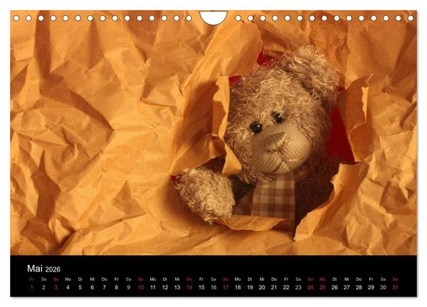 Produktbild: Herr Nopf ist da! (Wandkalender 2026 DIN A4 quer), CALVENDO Monatskalender