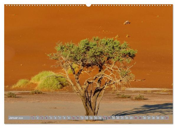 Produktbild: Namibia &ndash; Auf dem Weg ins Sossusvlei (Wandkalender 2026 DIN A2 quer), CALVENDO Monatskalender