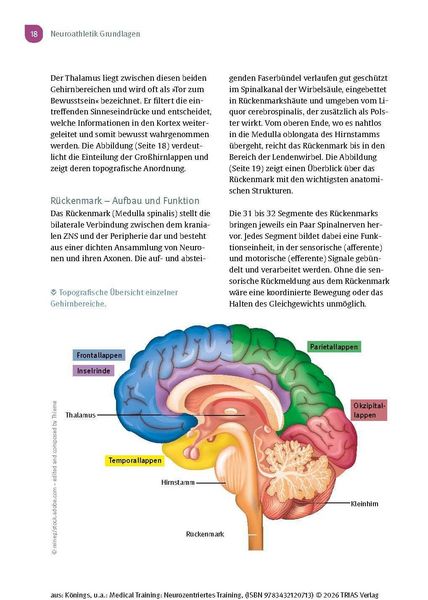 Produktbild: Medical Training: Neurozentriertes Training
