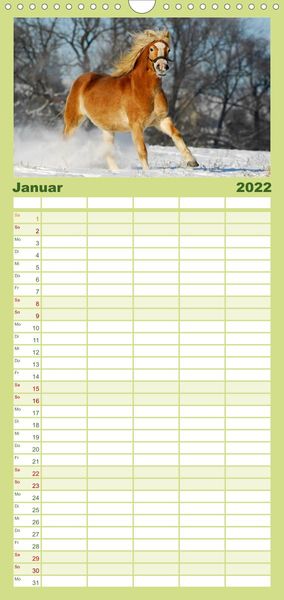Produktbild: Welt der Pferde - Familienplaner hoch (Wandkalender 2022 , 21 cm x 45 cm, hoch)