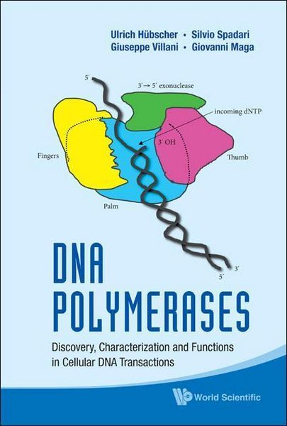 Produktbild: DNA Polymerases: Discovery, Characterization and Functions in Cellular DNA Transactions