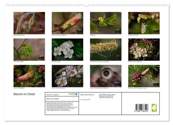 Produktbild: B&auml;ume im Detail (hochwertiger Premium Wandkalender 2026 DIN A2 quer), Kunstdruck in Hochglanz