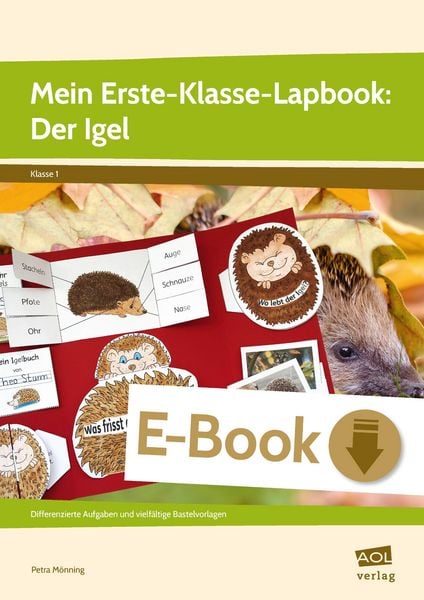 Produktbild: Mein Erste-Klasse-Lapbook: Der Igel