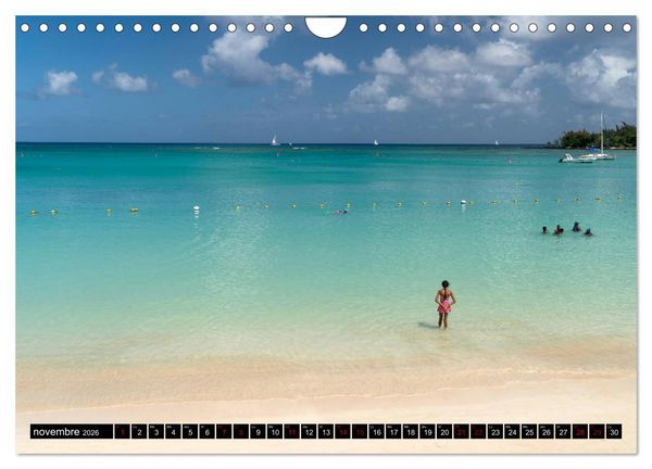 Produktbild: Maurice - l'Oc&eacute;an Indien (Calendrier mural 2026 DIN A4 vertical), CALVENDO calendrier mensuel