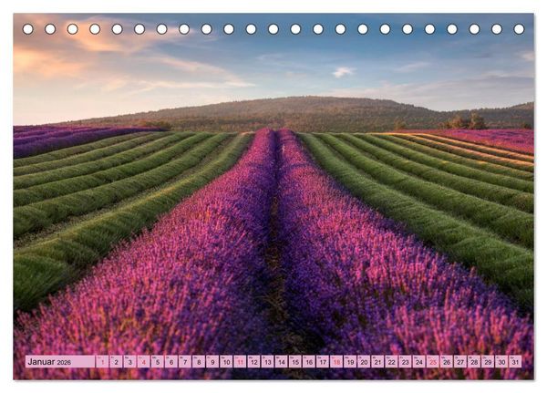 Produktbild: Provence, Lavendelzeit in S&uuml;dfrankreich (Tischkalender 2026 DIN A5 quer), CALVENDO Monatskalender