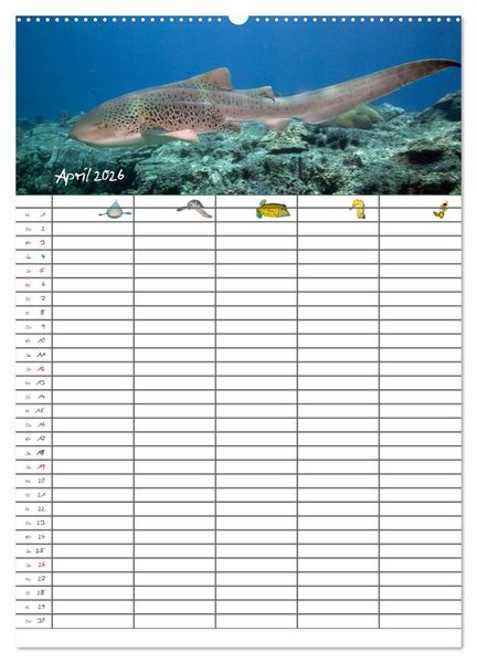 Produktbild: Der Unterwasser Familienplaner 2026 (Wandkalender 2026 DIN A2 hoch), CALVENDO Monatskalender