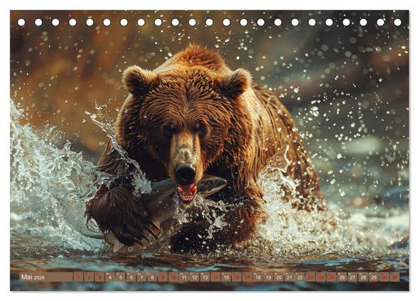Produktbild: Wildes B&auml;renland (Tischkalender 2026 DIN A5 quer), CALVENDO Monatskalender