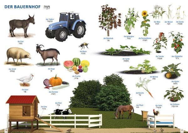 Produktbild: Bildw&ouml;rterbuch f&uuml;r Kinder und Eltern Hebr&auml;isch-Deutsch