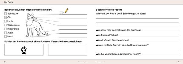 Produktbild: Ich kenne Waldtiere / Haus- und Hoftiere / Insekten und Spinnen - 3 Arbeitshefte im Set f&uuml;r die 2. bis 4. Klasse