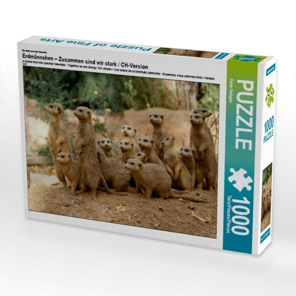 CALVENDO Puzzle Ein Motiv aus dem Kalender Erdmännchen - Zusammen sind wir stark / CH-Version | 1000 Teile Lege-Größe 64x48cm Foto-Puzzle für