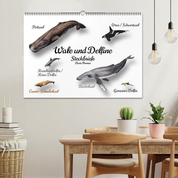 Produktbild: Wale und Delfine Steckbriefe (Wandkalender 2026 DIN A2 quer), CALVENDO Monatskalender