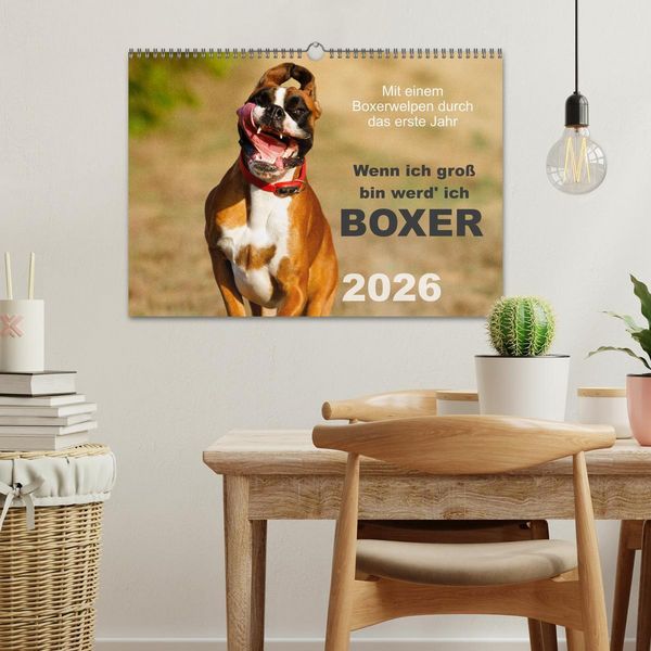 Produktbild: Wenn ich gro&szlig; bin werd' ich Boxer (Wandkalender 2026 DIN A3 quer), CALVENDO Monatskalender