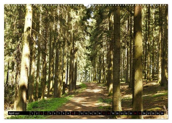 Produktbild: Naturwunder Wald (hochwertiger Premium Wandkalender 2027 DIN A2 quer), Kunstdruck in Hochglanz