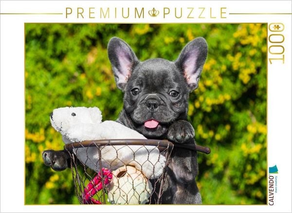 CALVENDO Puzzle Französische Bulldogge - kleiner Clown auf 4 Pfoten | 1000 Teile Lege-Größe 64x48cm Foto-Puzzle für glückliche Stunden