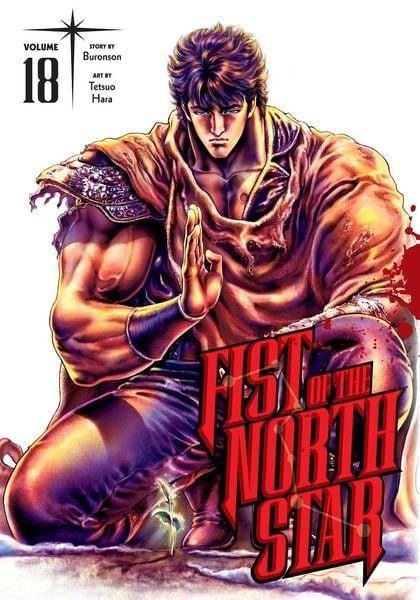 Produktbild: Fist of the North Star, Vol. 18
