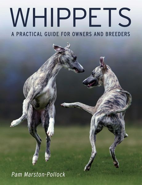 Produktbild: Whippets