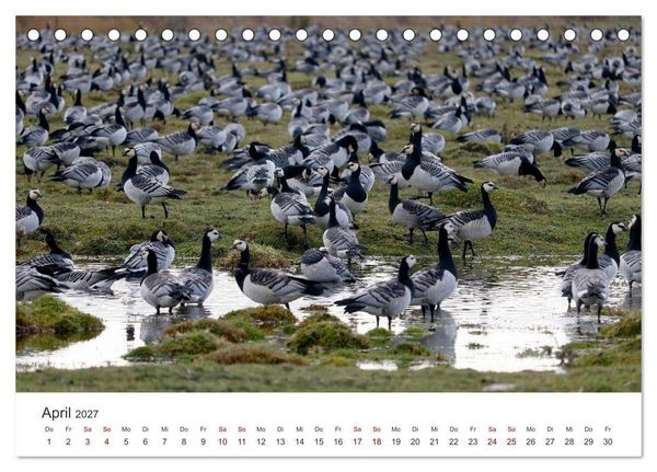 Produktbild: Estland - Pittoreske Sch&ouml;nheit im Baltikum (Tischkalender 2027 DIN A5 quer), CALVENDO Monatskalender